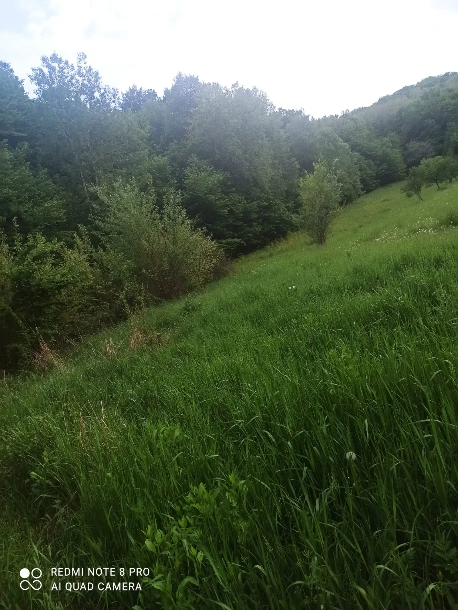 Vând teren 8 euro la 13 km de Pitești 2